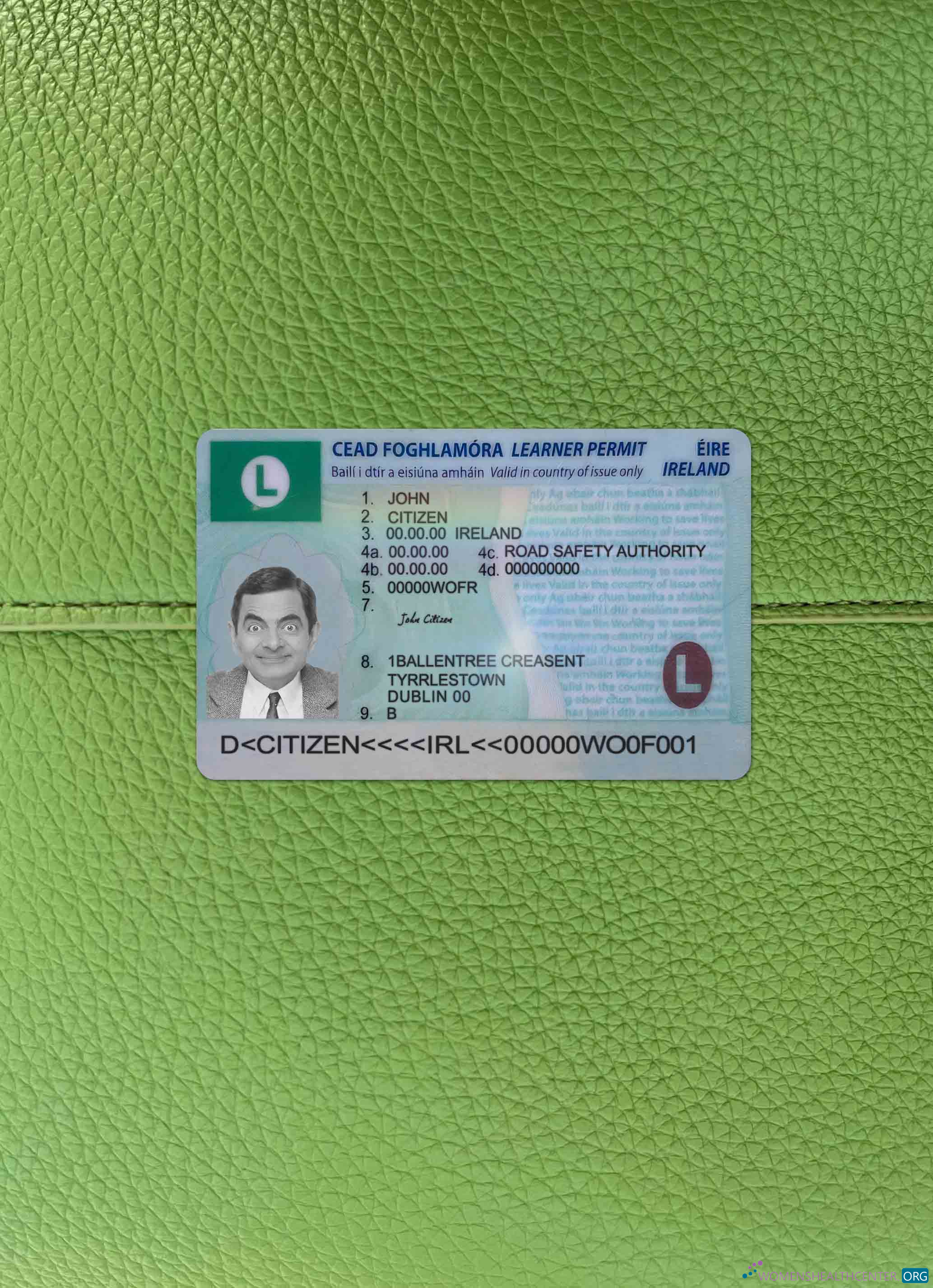 Download Ireland driving license (learner permit) 2022  present photolook FRONT Photoshop template